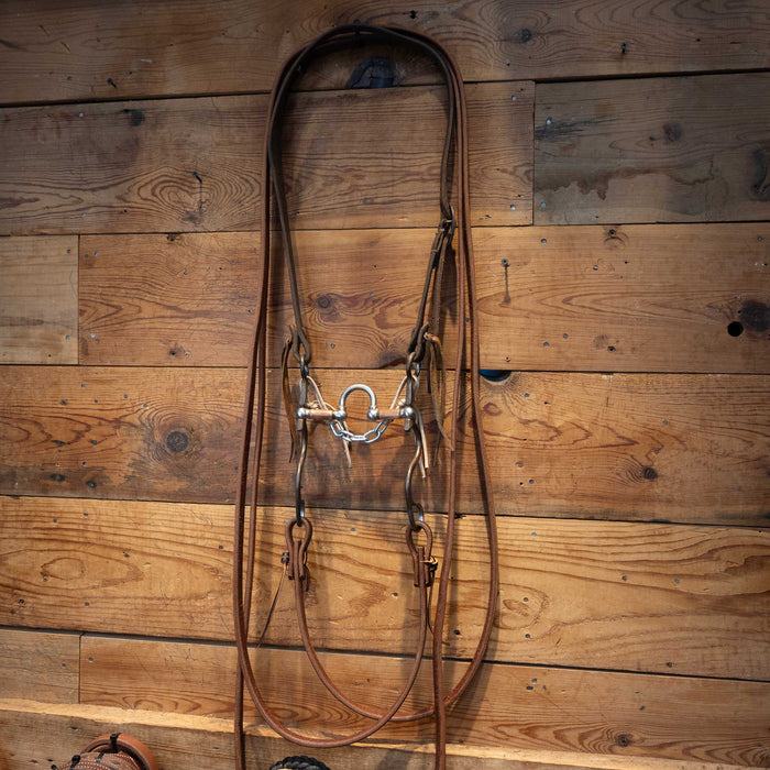 Kerry Kelley 10 Correction Bridle Rig