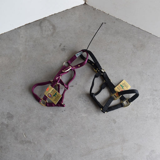 NEW Hamilton Yearling Halters Set Of 2 Sale Barn Teskey's