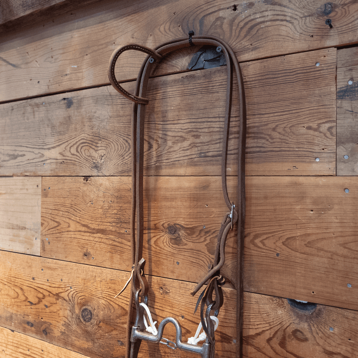 Josh Ownbey Cowboy Line Port Bit Bridle Rig