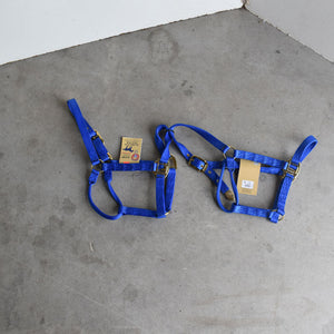 NEW Hamilton Average Halters Set Of 2 Sale Barn Teskey's