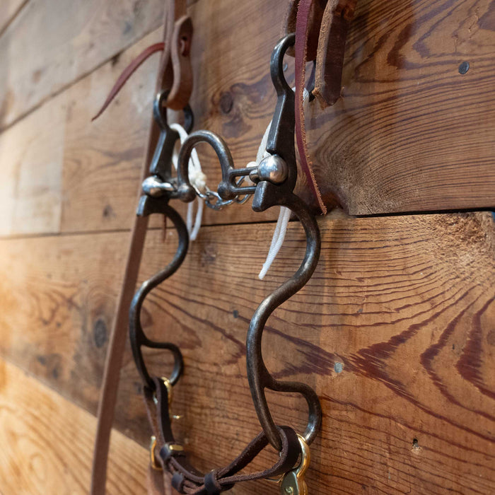 Kerry Kelley 10 Ported Chain Bridle Rig