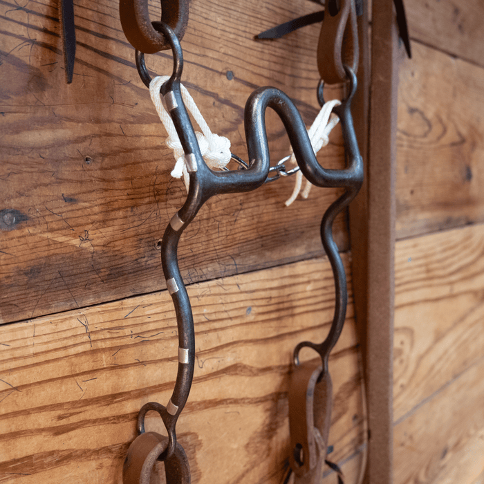 Kurtis Rudelbach Port Bit Bridle Rig