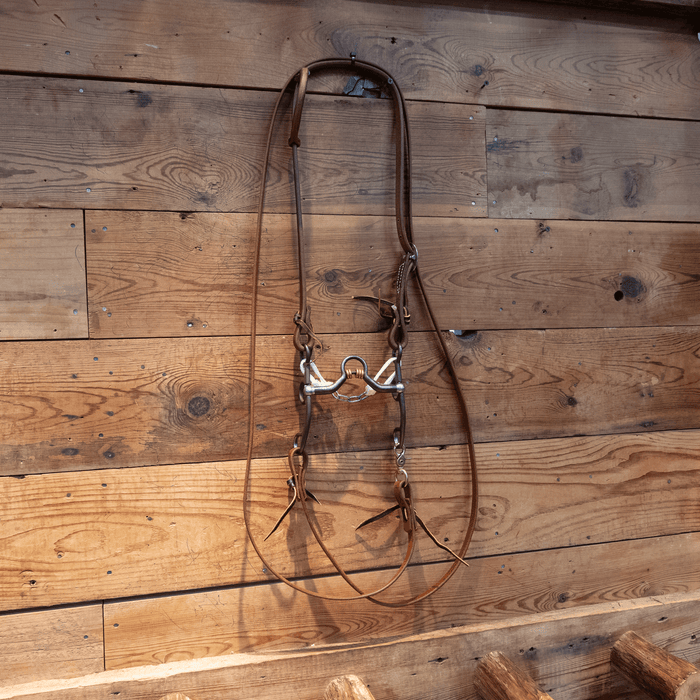Kerry Kelley Correction Bit Bridle Rig