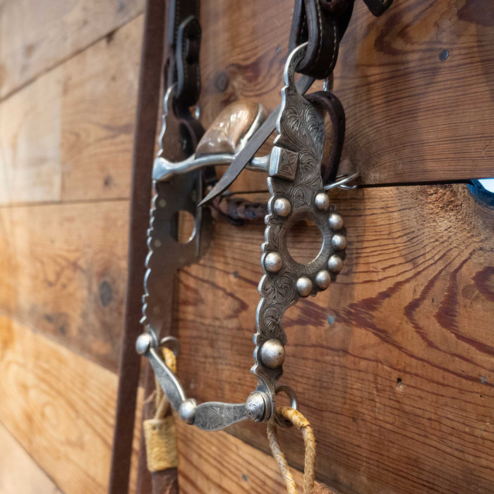 Diablo Hooded Copper Port Bridle Rig