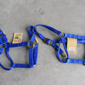 NEW Hamilton Average Halters Set Of 2 Sale Barn Teskey's