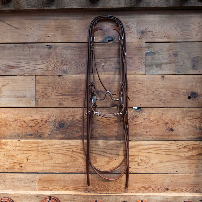 Brandon Anthony Solid Port Bridle Rig