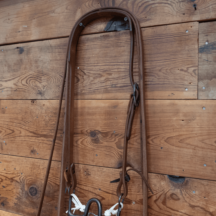 Kurtis Rudelbach Port Bit Bridle Rig