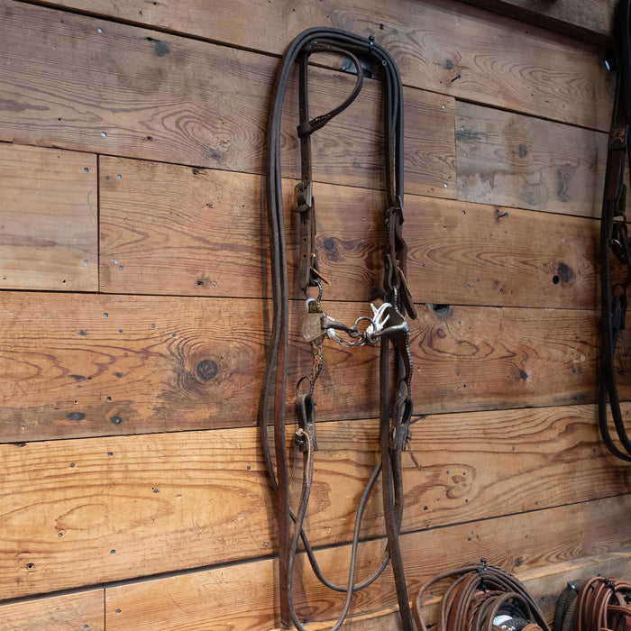 Mark Liston Delta Co. Bridle Rig
