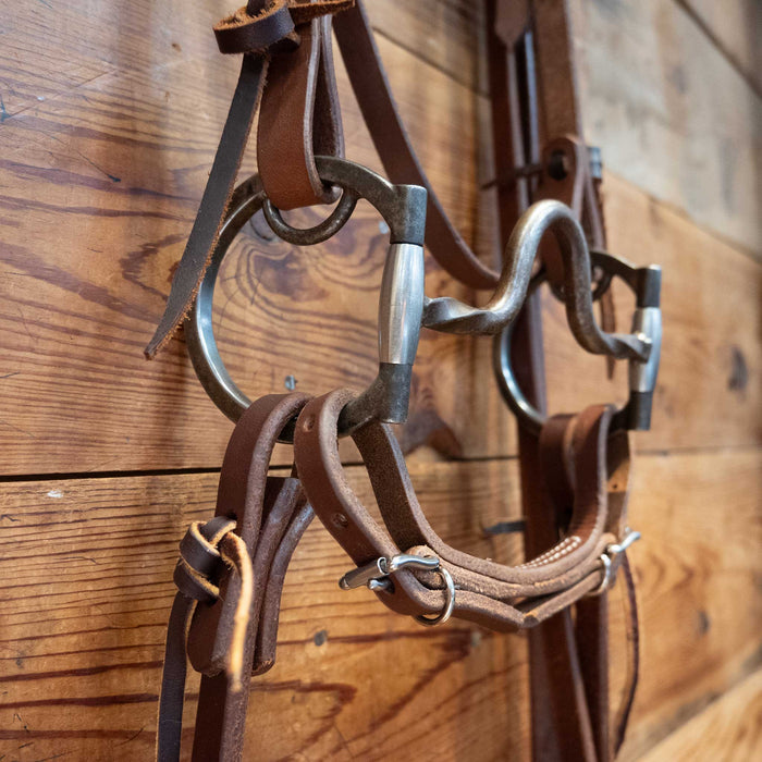Brandon Anthony Solid Port Bridle Rig
