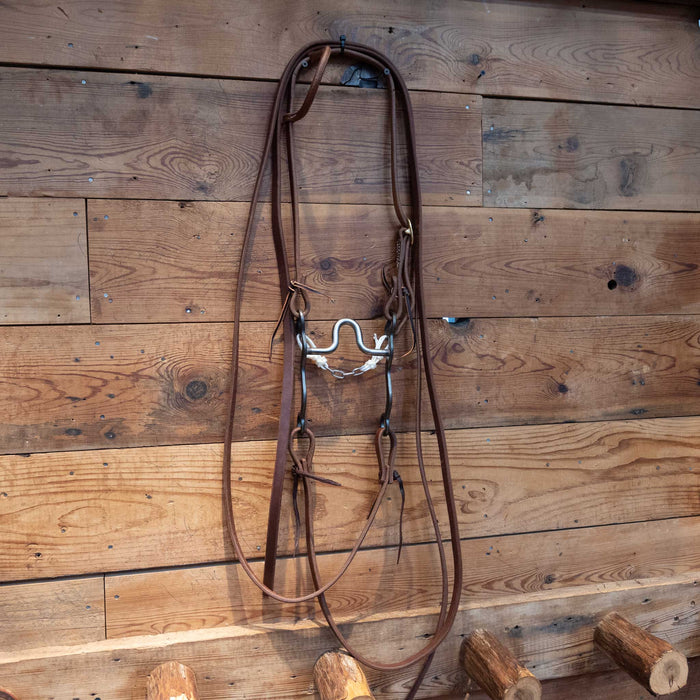 Pat Stevens Port Bit Bridle Rig