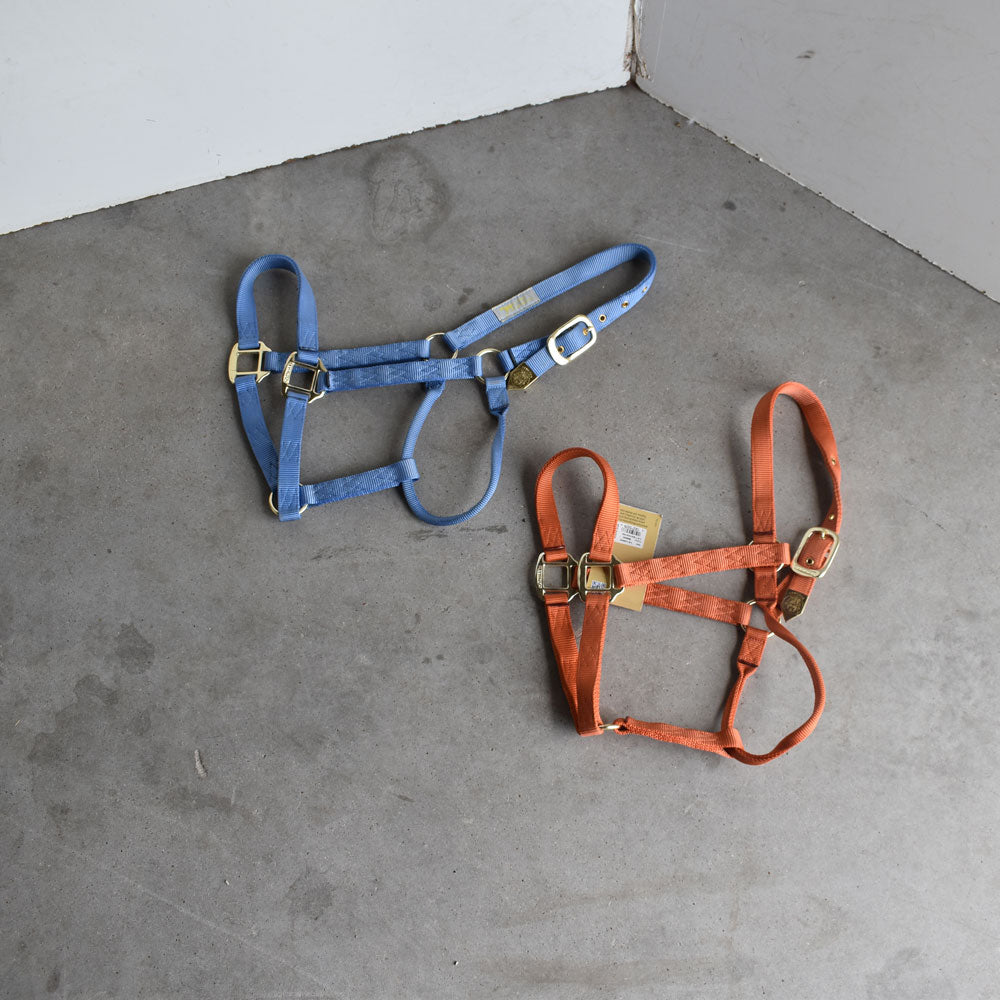 NEW Hamilton Large Halters Set Of 2 Sale Barn Teskey's