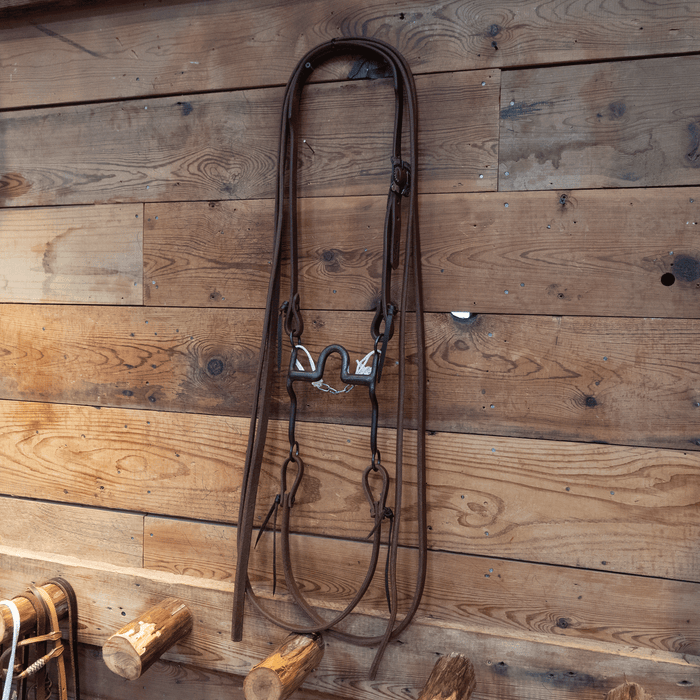 Daryl Davis Port Bit Bridle Rig