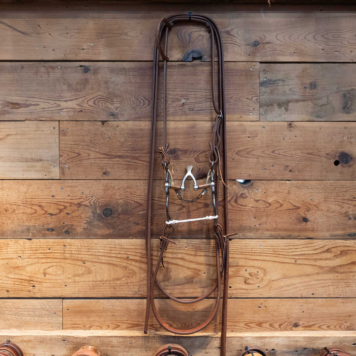 Kerry Kelley 02S Cathedral Bridle Rig