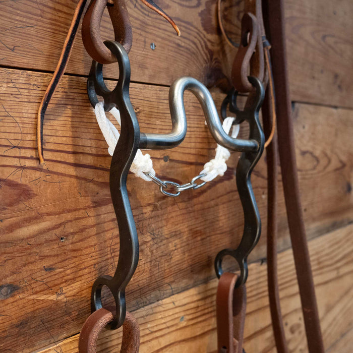 Pat Stevens Port Bit Bridle Rig