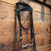 1910-1920s Bridle Rig with Sterling Candys Crockett Bit Collectibles Crockett