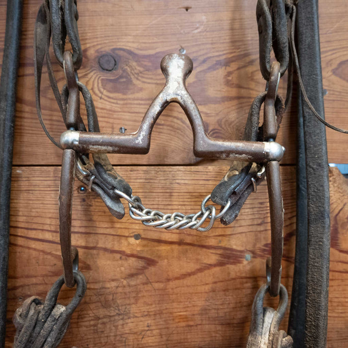 Kerry Kelley Cathedral Bridle Rig w/ Single Ear Headstall