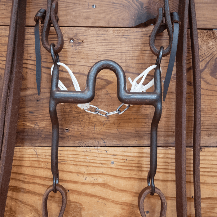 Daryl Davis Port Bit Bridle Rig