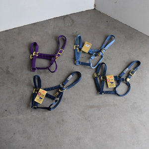 NEW Hamilton Average Halters Set of 4 Sale Barn Teskey's