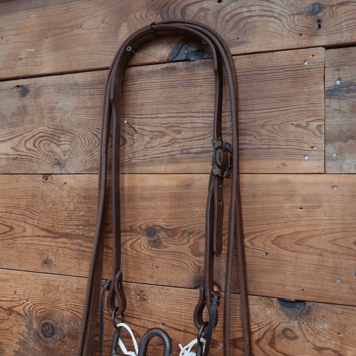 Daryl Davis Port Bit Bridle Rig