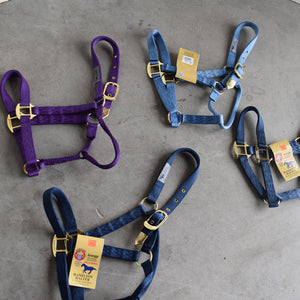 NEW Hamilton Average Halters Set of 4 Sale Barn Teskey's