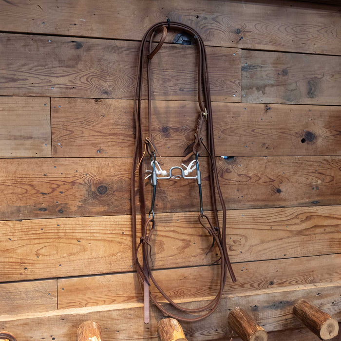 Pat Stevens Port Bit Bridle Rig