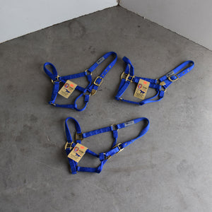 NEW Hamilton Average Halters Set of 3 Sale Barn Teskey's