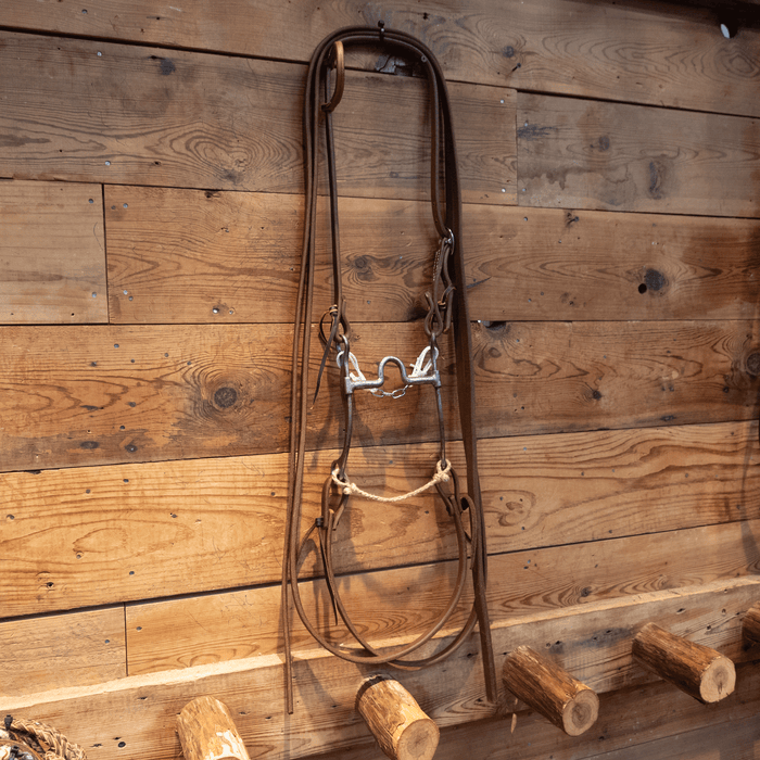 Josh Ownbey Port Bit Bridle Rig