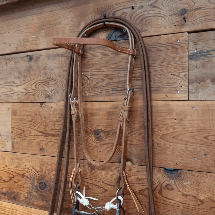 Snaffle Bit Bridle Rig