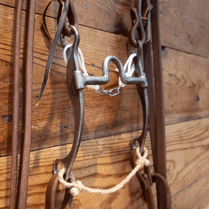 Josh Ownbey Port Bit Bridle Rig