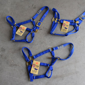NEW Hamilton Average Halters Set of 3 Sale Barn Teskey's