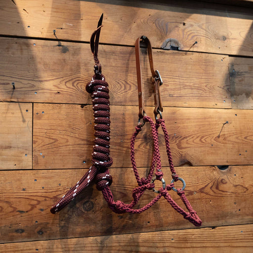 Massie Braided Halter w/Teskey's Hardware Tack - Training Massie Western Creations