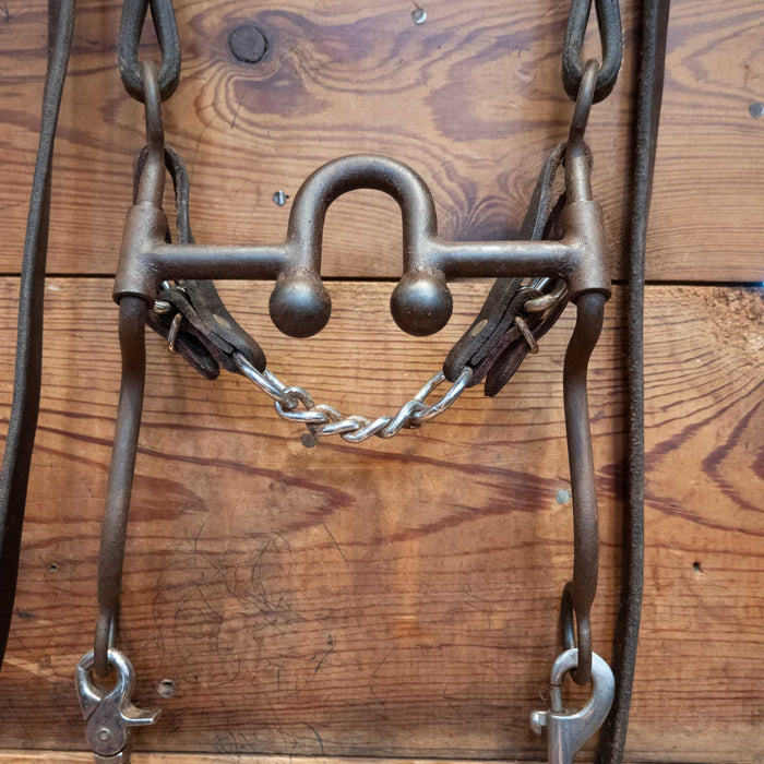 Daryl Davis Solid Port Bridle Rig w/ Single Ear Headstall