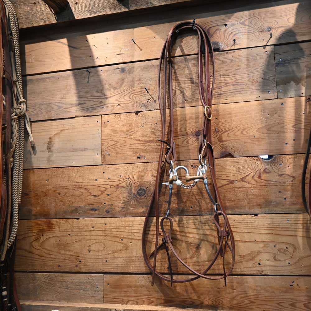 Bridle Rig - Correction SBR565 Sale Barn MISC