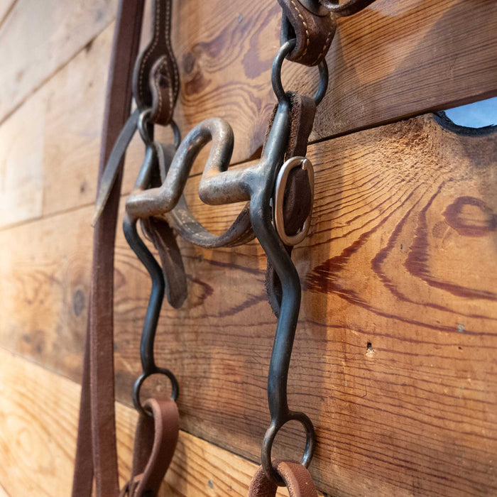 Daryl Davis Solid Port Bridle Rig