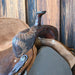 14" USED SEVEN BARREL SADDLE Saddles - Used Seven Saddle
