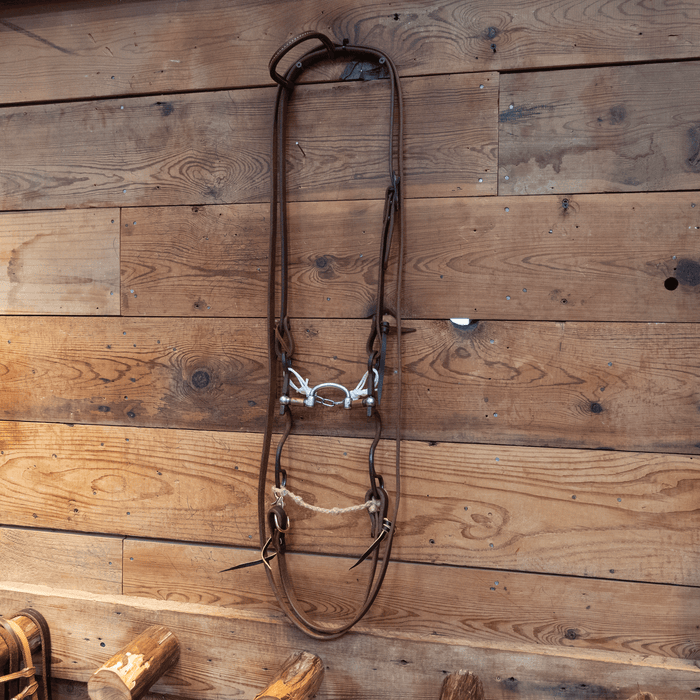Kerry Kelley Milkman Bit Bridle Rig
