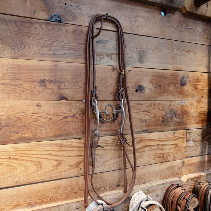 Bill Freeman Port w/ Prongs Bridle Rig