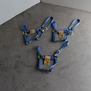 NEW Hamilton Average Halters Set of 3 Sale Barn Teskey's