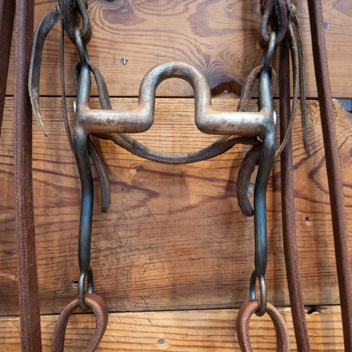 Daryl Davis Solid Port Bridle Rig