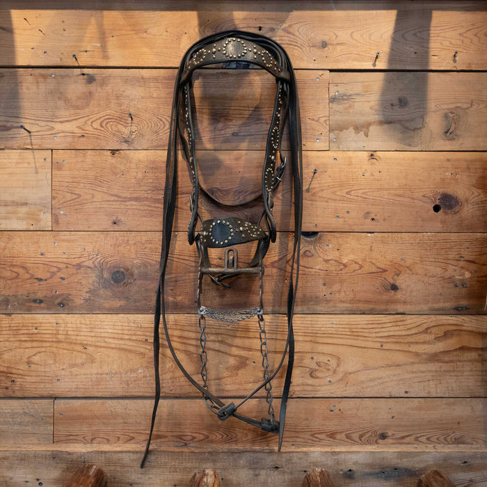 Vintage Stunning Brass and Silver Dots & a Antique Kissingbird bit Bridle Rig Collectibles MISC