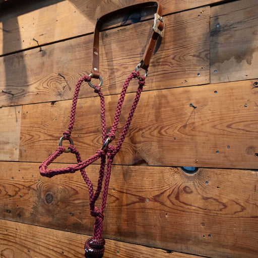 Massie Braided Halter w/Teskey's Hardware Tack - Training Massie Western Creations
