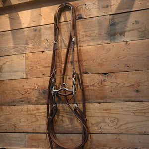 Bridle Rig - Kenny Gianini Silver Engraved Port Bit - RIG520 Tack - Rigs Kenny Gianini   