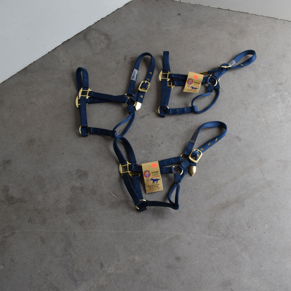 NEW Hamilton Average Halters Set of 3 Sale Barn Teskey's