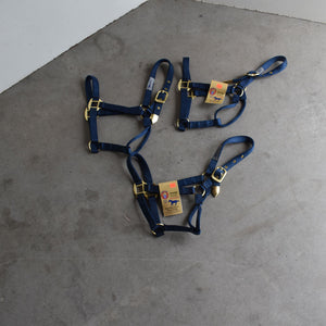 NEW Hamilton Average Halters Set of 3 Sale Barn Teskey's