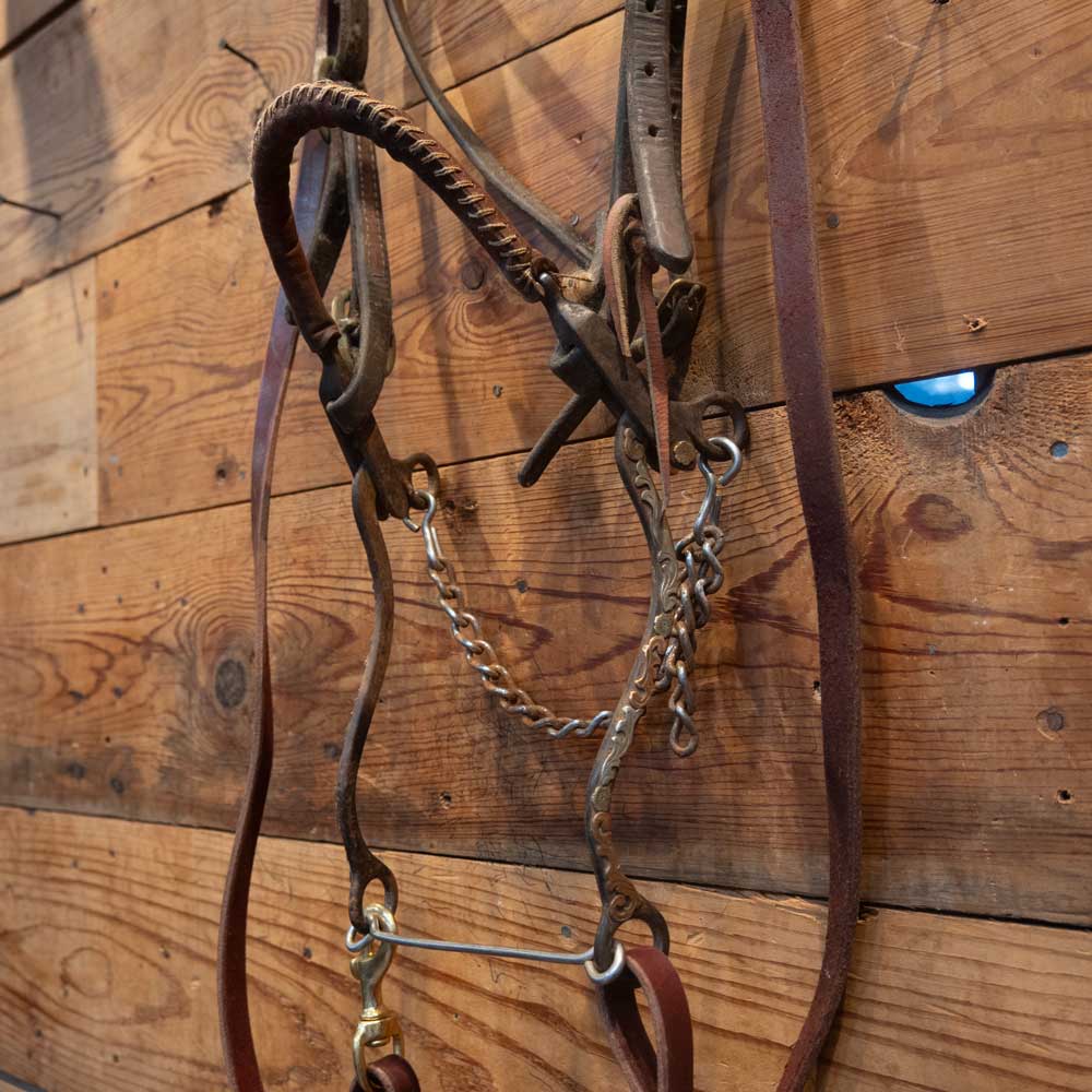 Hackamore w/ mounted Silver on Copper