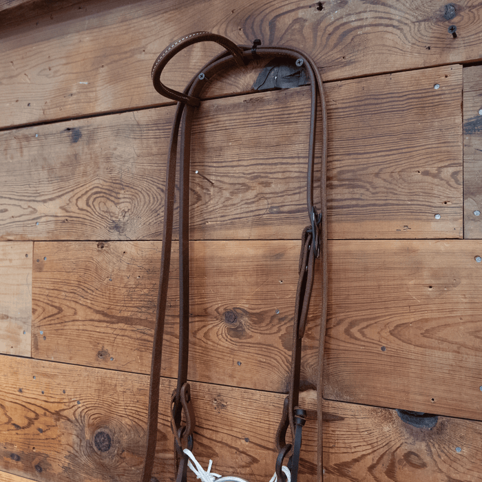 Kerry Kelley Milkman Bit Bridle Rig