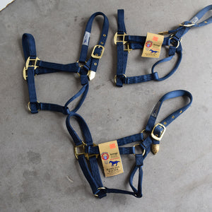 NEW Hamilton Average Halters Set of 3 Sale Barn Teskey's