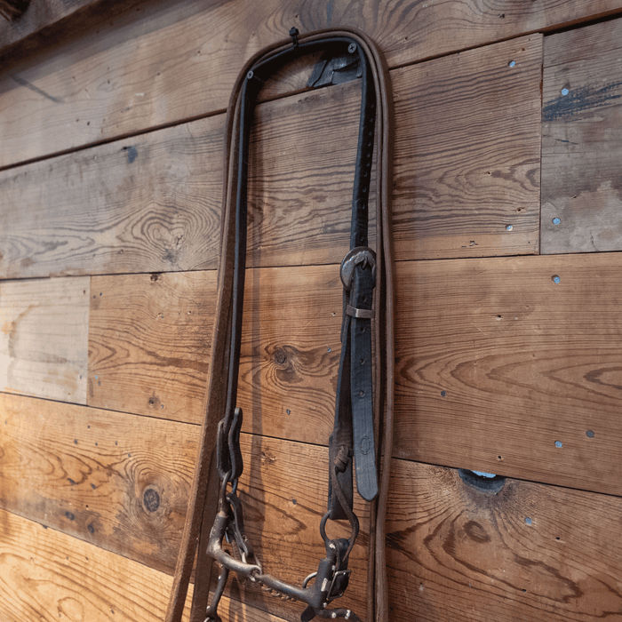 Snaffle w/ Copper Inlay Bit Bridle Rig