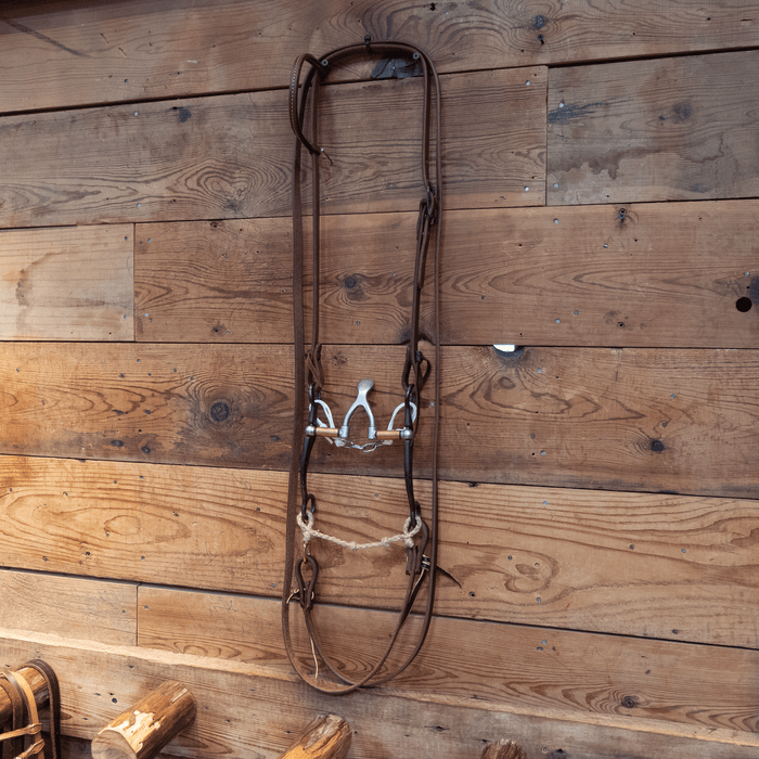 Kerry Kelley Cathedral Bit Bridle Rig