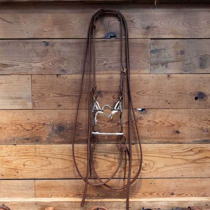 Daryl Davis Loose Port Bridle Rig